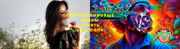 гидропоника Семилуки
